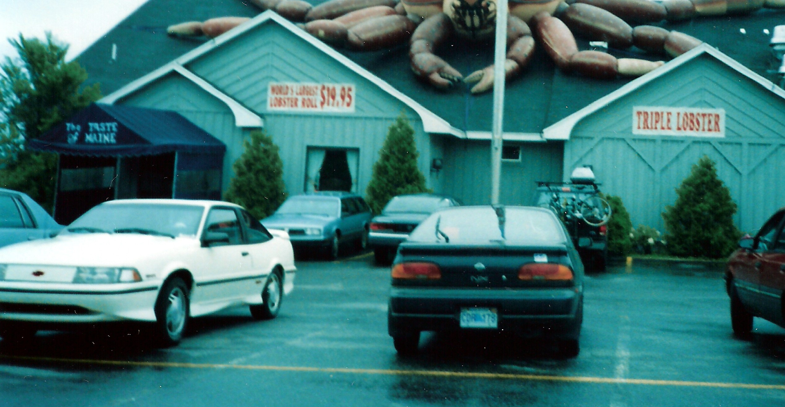 Giant Lobster.jpg -  by Terry Kelly Photography
