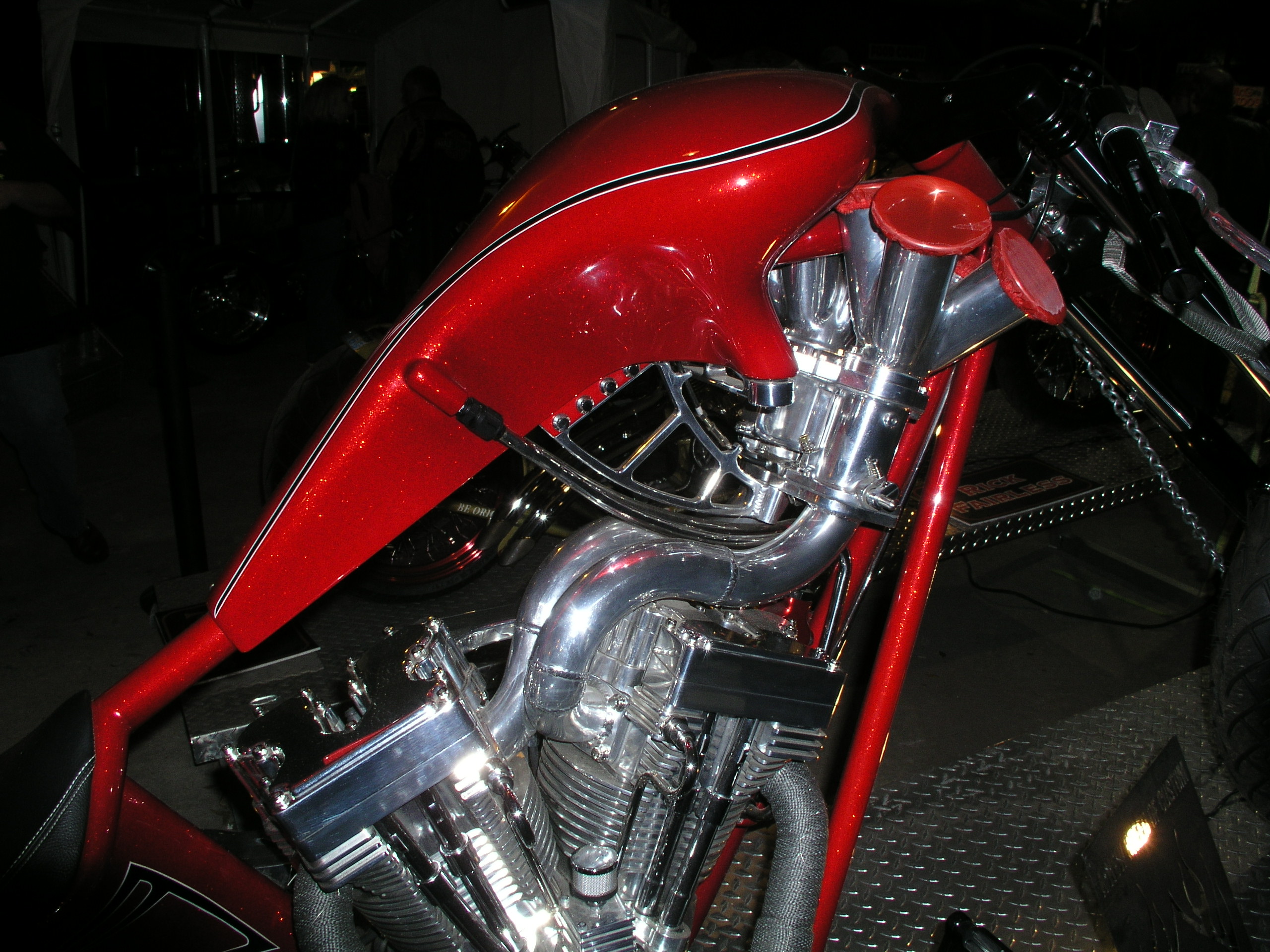 OLYMPUS DIGITAL CAMERA          - OLYMPUS DIGITAL CAMERA          by Terry Kelly Photography
