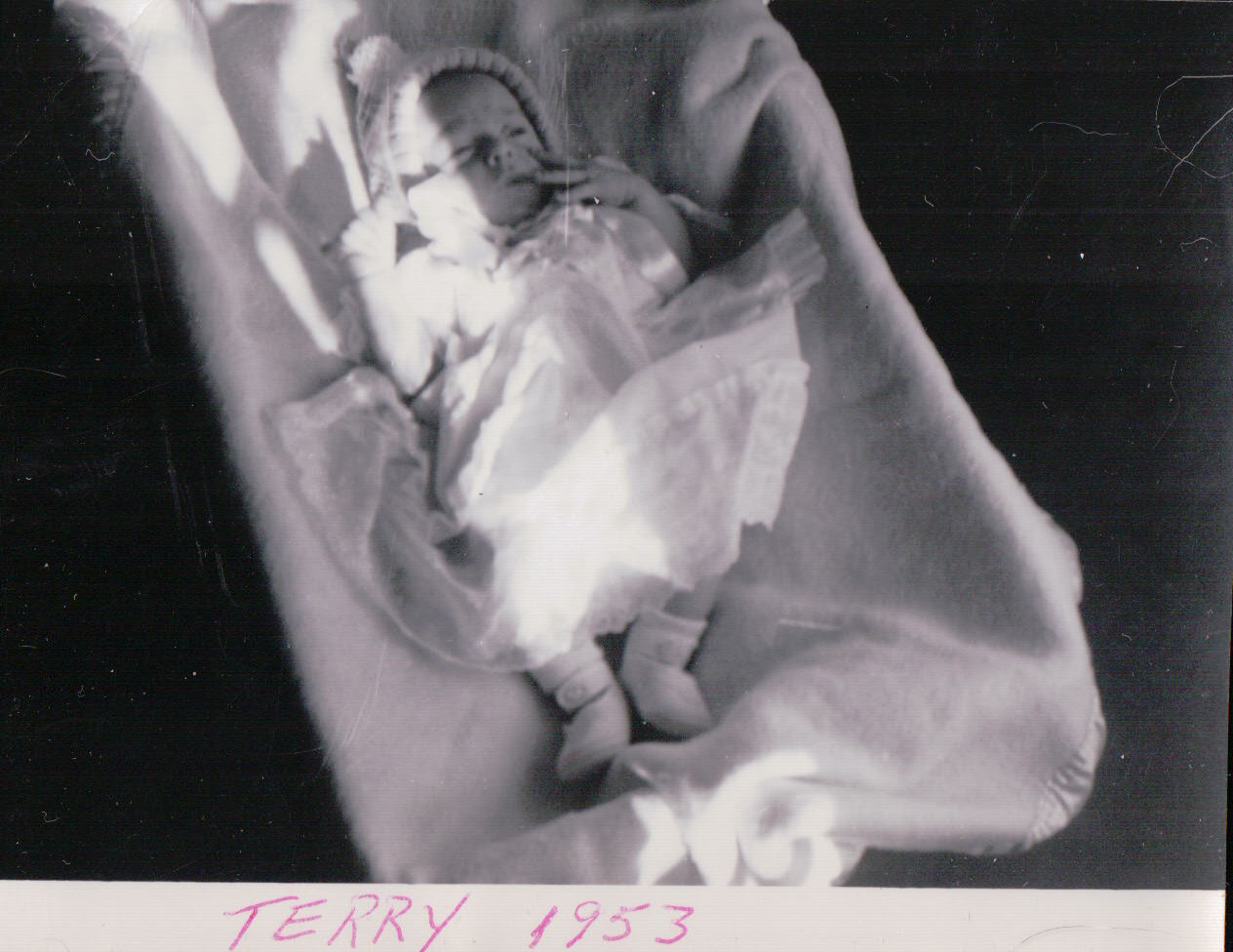 247.JPG -  by Terry Kelly Photography