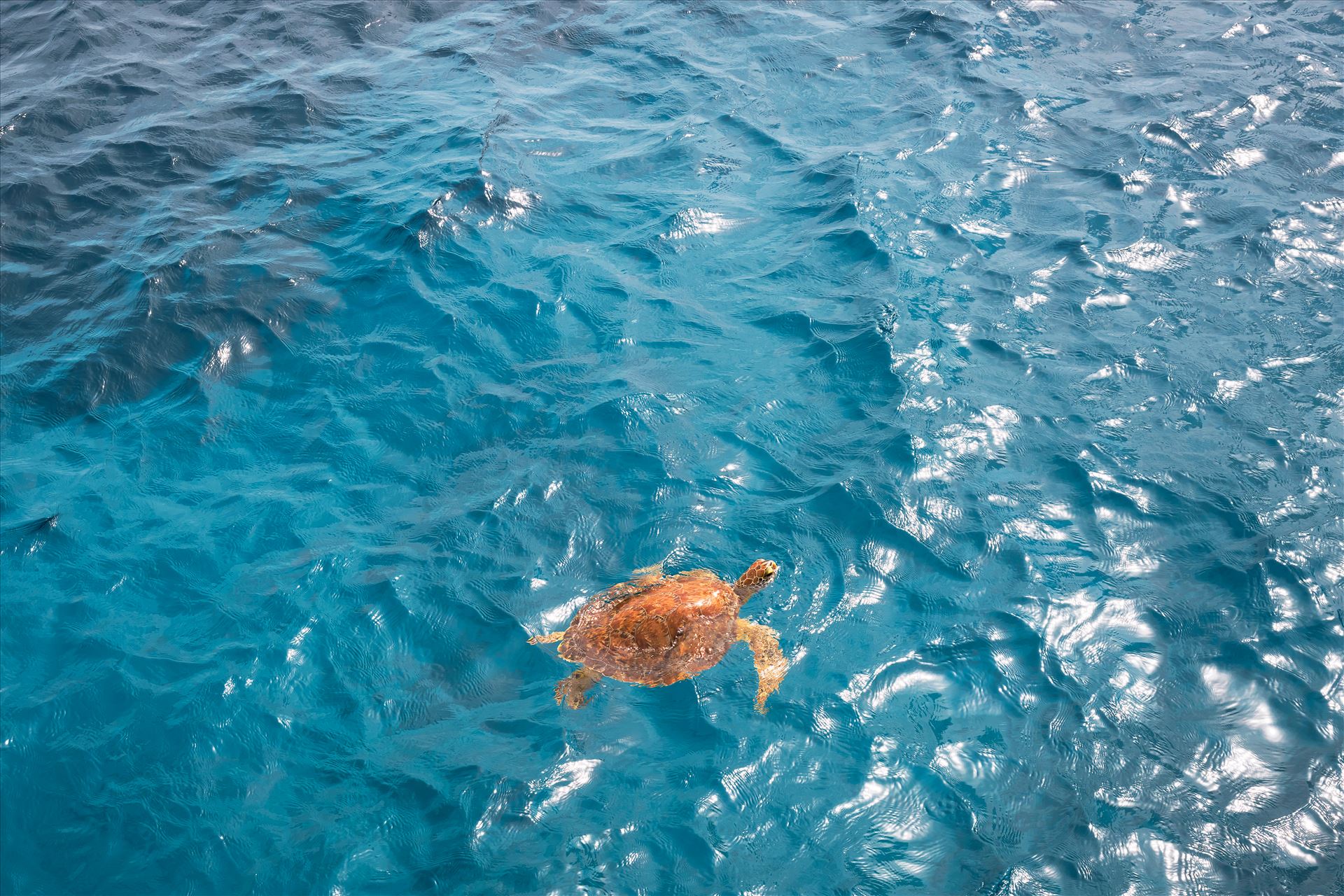 St. Croix Adventure of the Seas_10202025_0525.jpg -  by Terry Kelly Photography