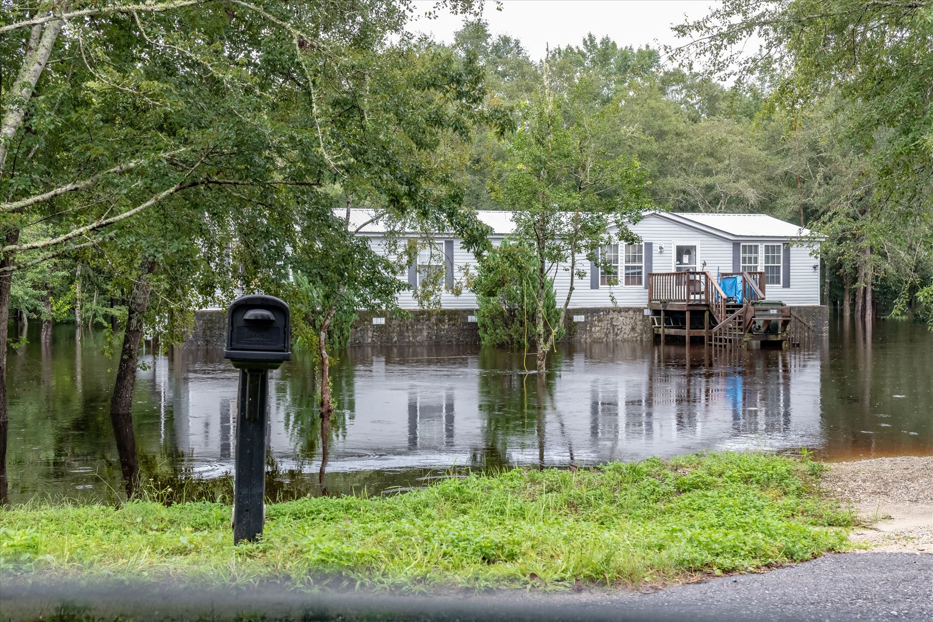 bear creek out of bank 7 August 02, 2018.jpg - August 02, 2018 heavy rains flooded many parts of Bay County, Florida. This photo is in the Bear Creek area. by Terry Kelly Photography