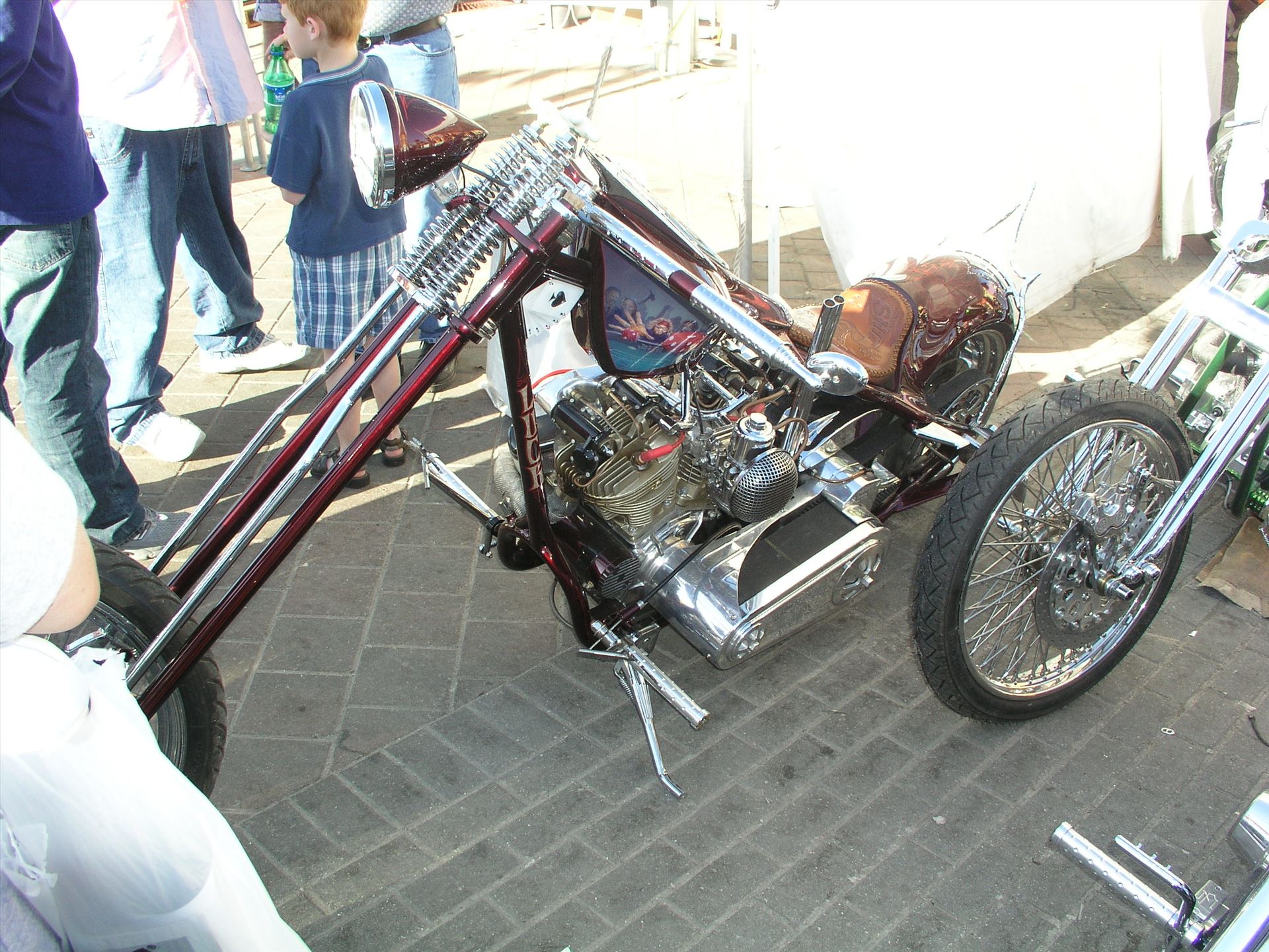 OLYMPUS DIGITAL CAMERA          - OLYMPUS DIGITAL CAMERA          by Terry Kelly Photography