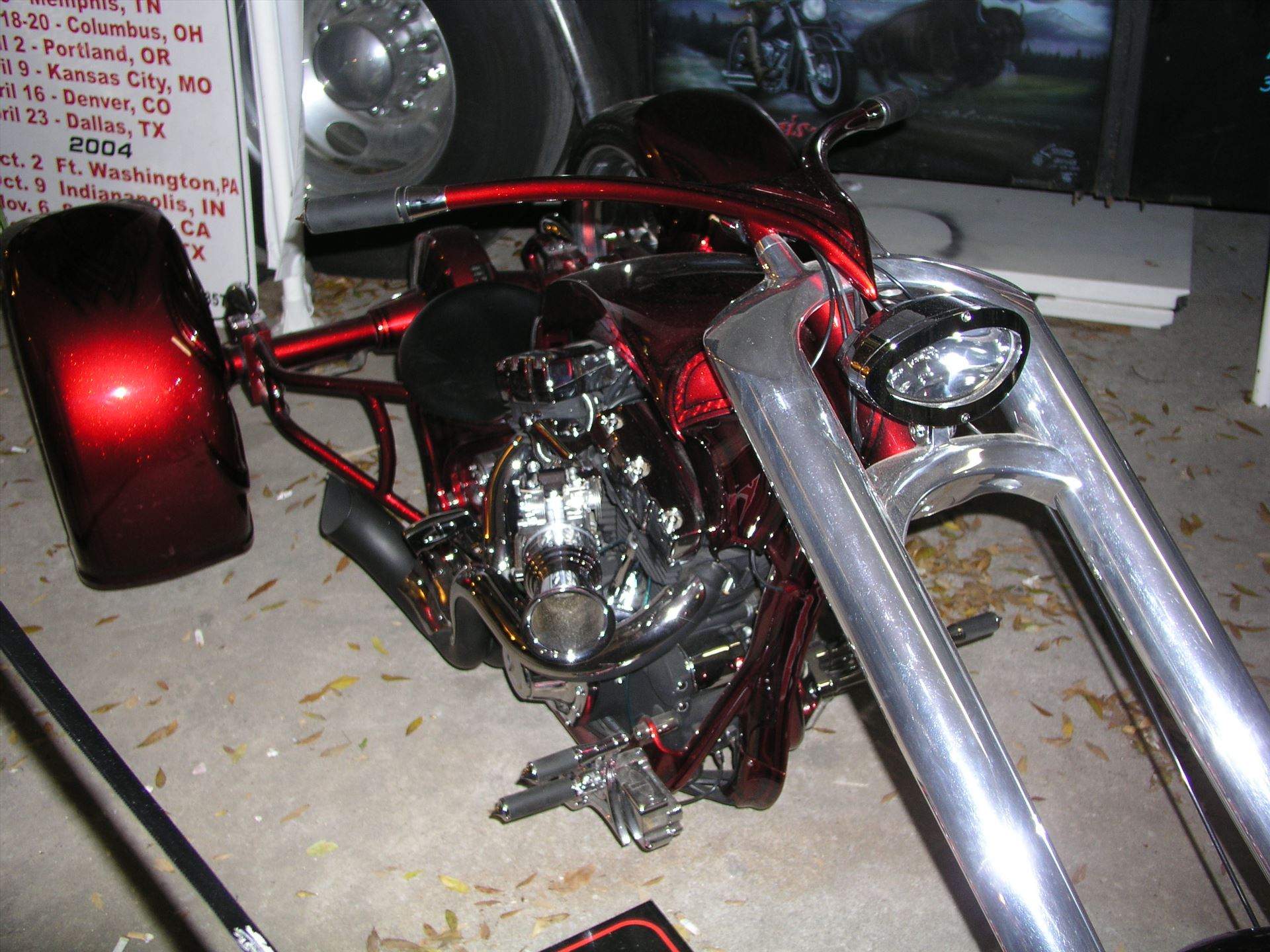 OLYMPUS DIGITAL CAMERA          - OLYMPUS DIGITAL CAMERA          by Terry Kelly Photography