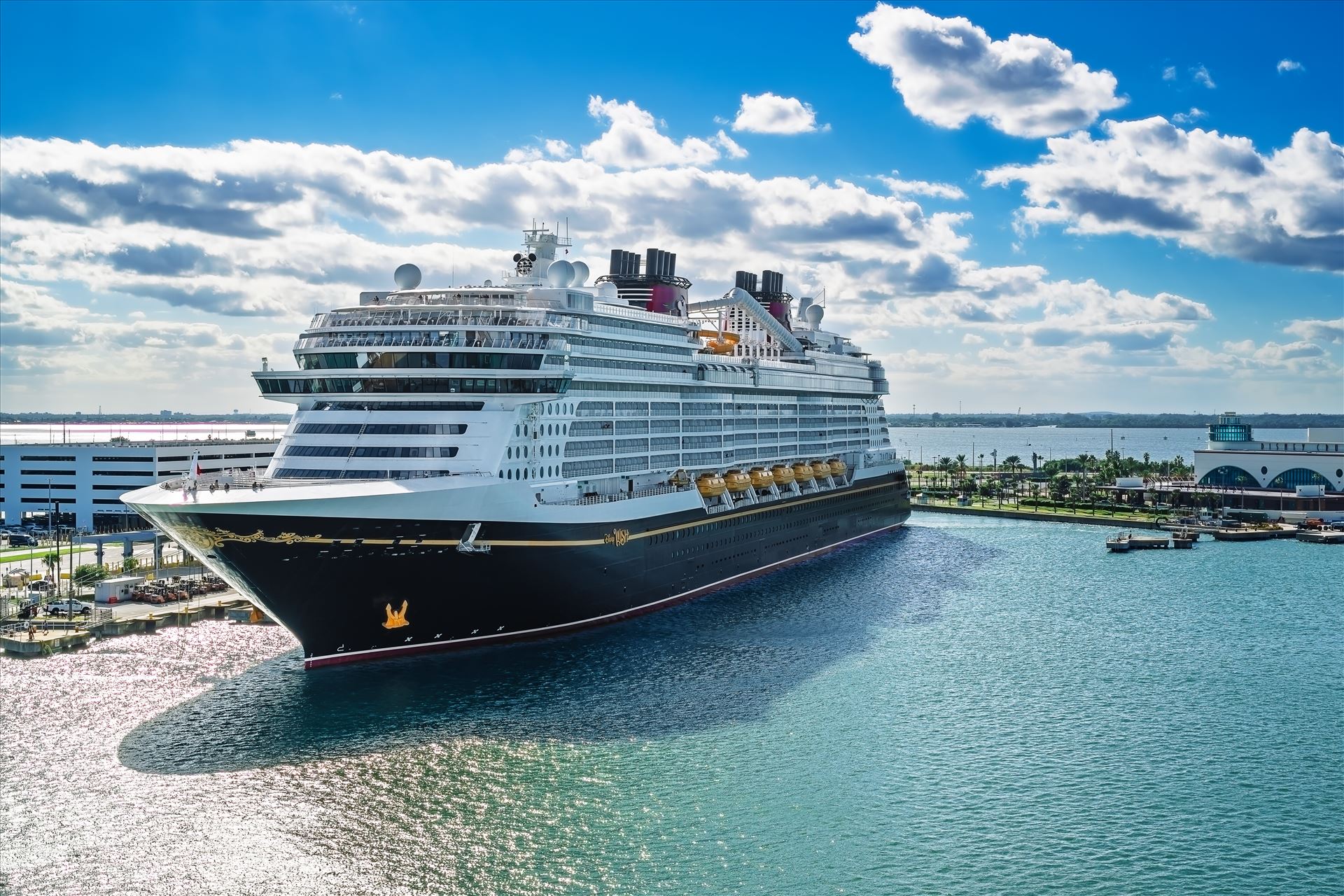 Disney Wish_0060-1.jpg -  by Terry Kelly Photography