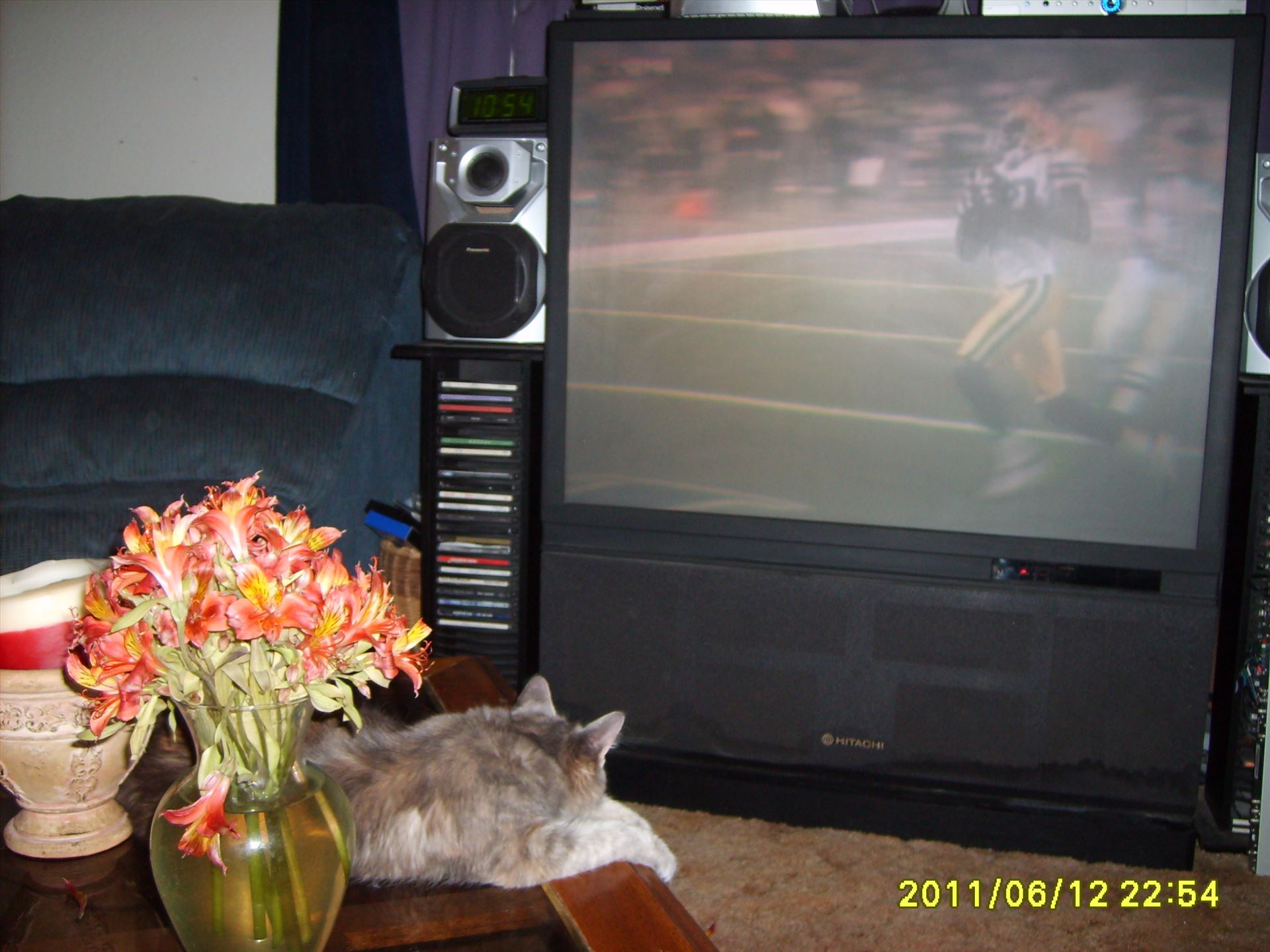 Gabby watching football.JPG -  by Terry Kelly Photography