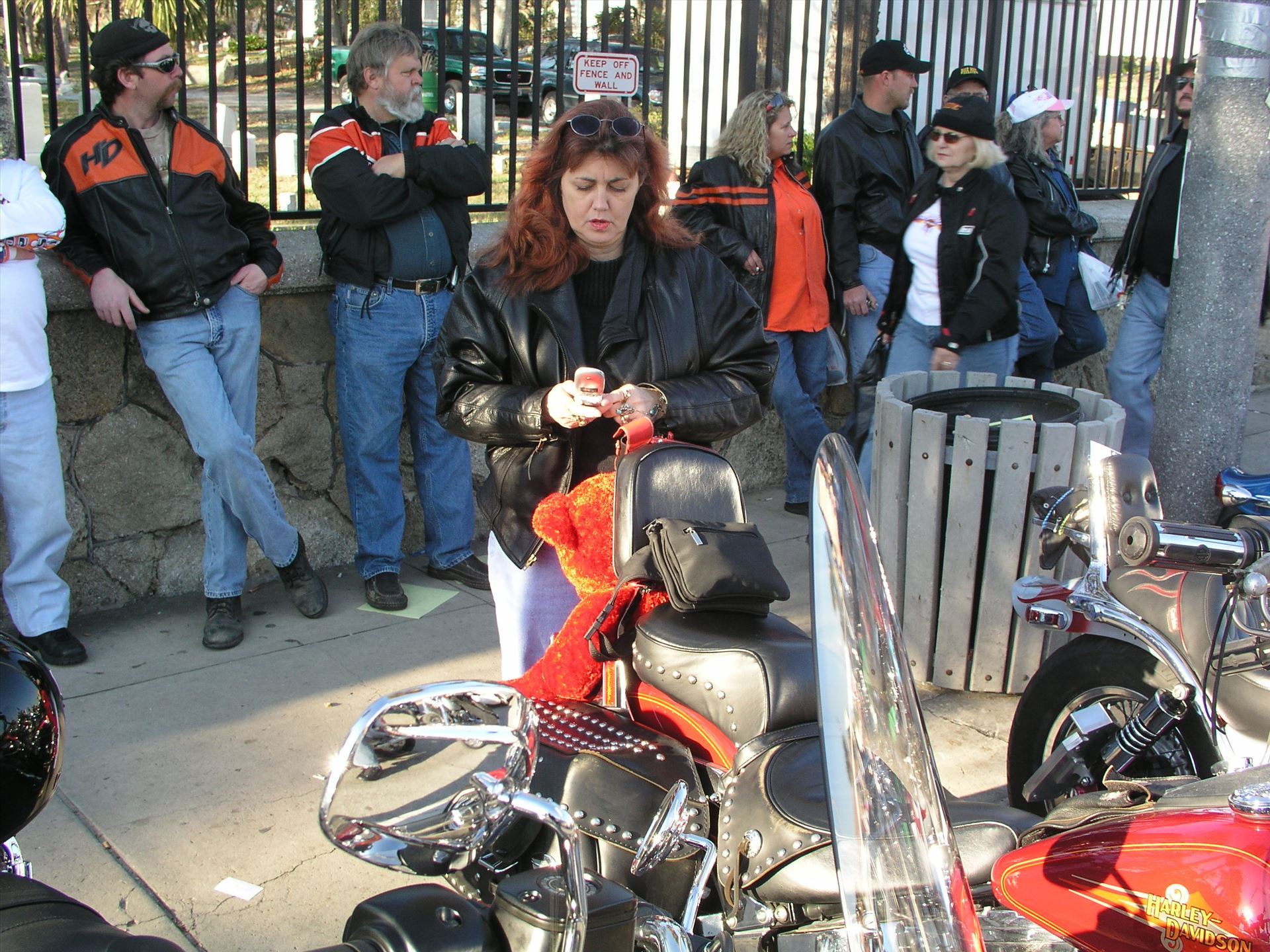 OLYMPUS DIGITAL CAMERA          - OLYMPUS DIGITAL CAMERA          by Terry Kelly Photography
