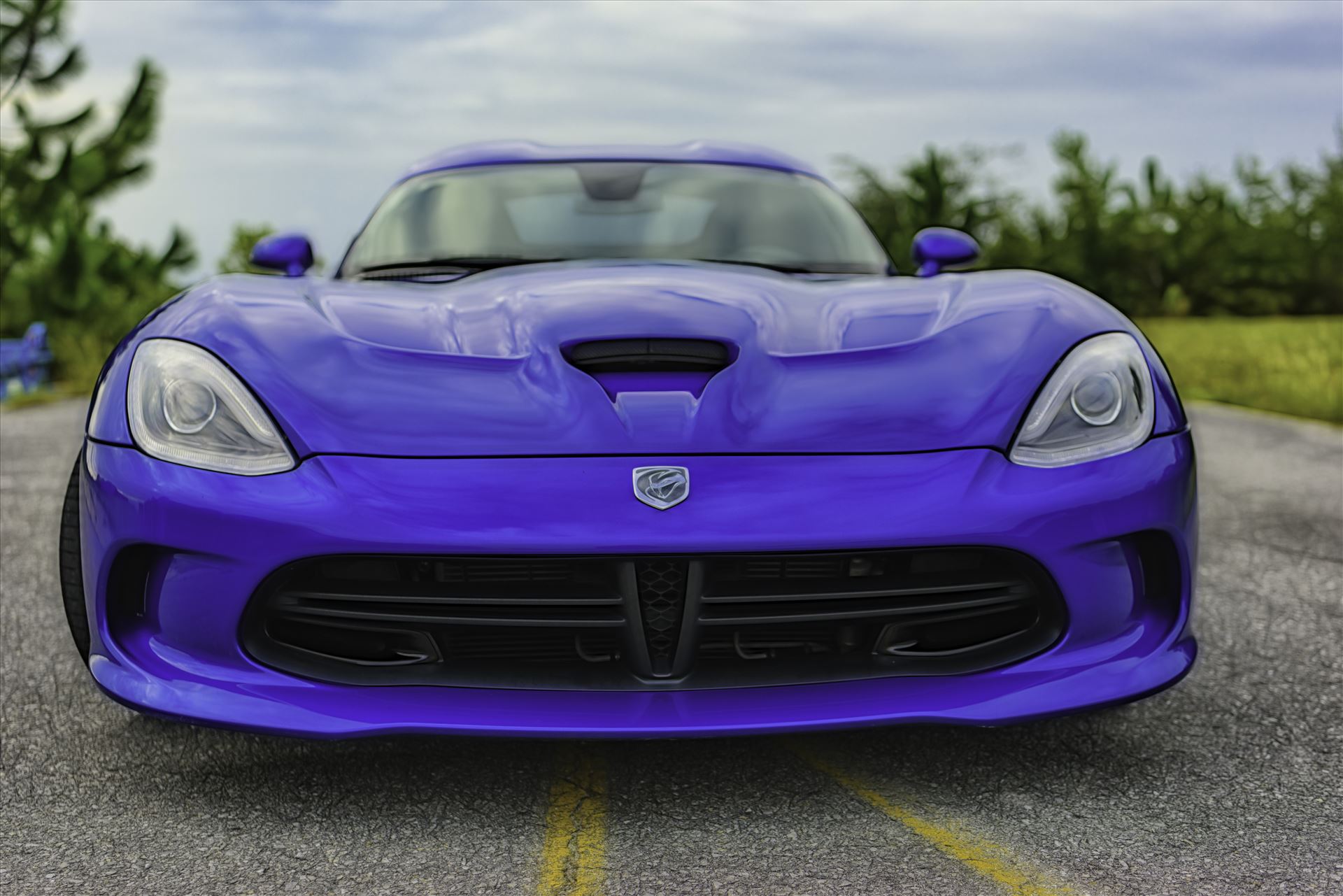 viper 5098.jpg -  by Terry Kelly Photography