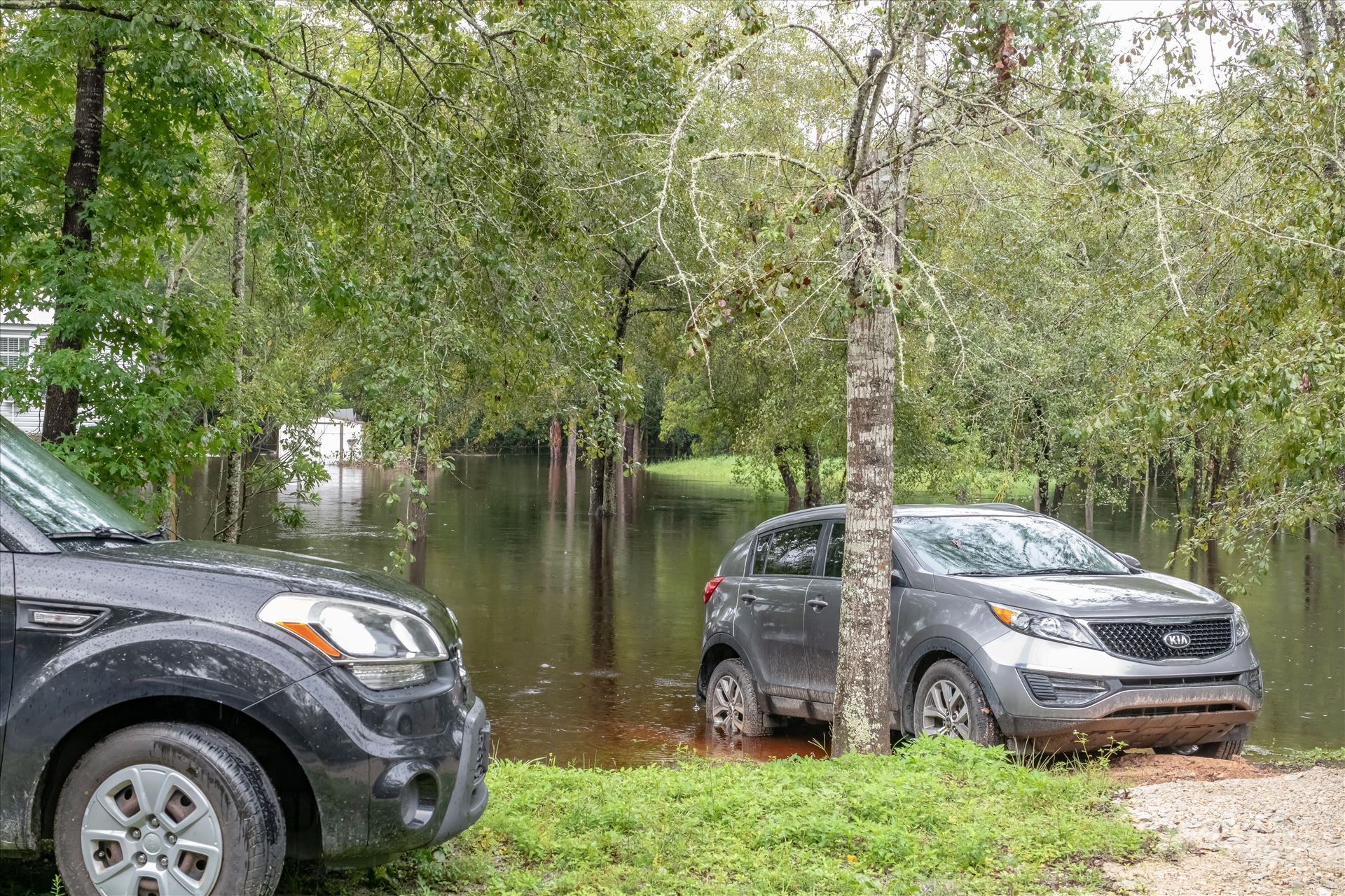 bear creek out of bank 8 August 02, 2018.jpg - August 02, 2018 heavy rains flooded many parts of Bay County, Florida. This photo is in the Bear Creek area. by Terry Kelly Photography