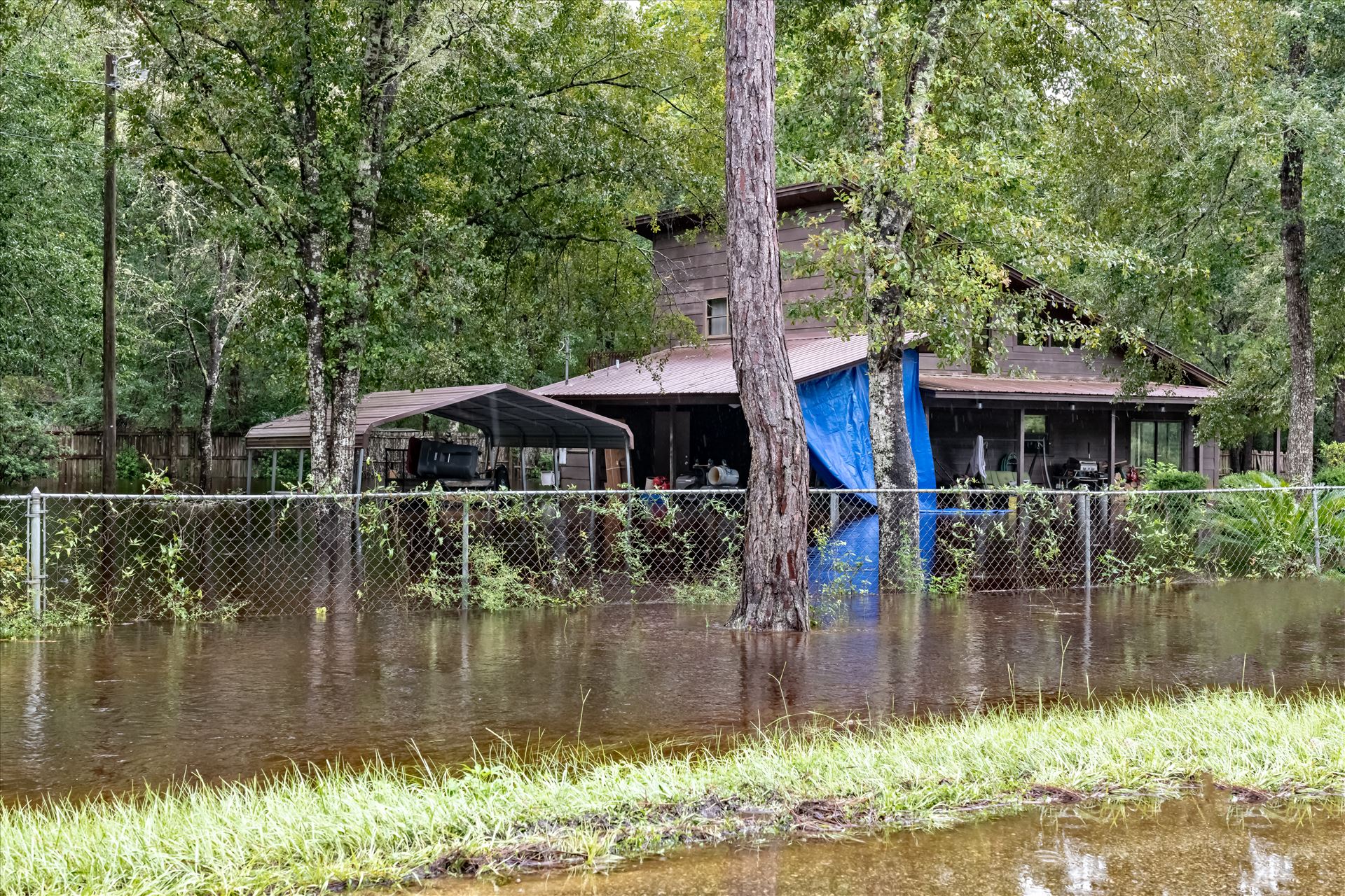 bear creek out of bank August 02, 2018.jpg - August 02, 2018 heavy rains flooded many parts of Bay County, Florida. This photo is in the Bear Creek area. by Terry Kelly Photography